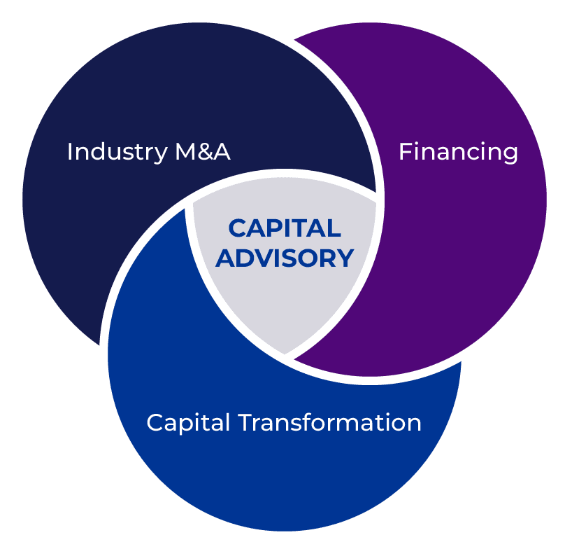 Capital Advisors Venn Diagram