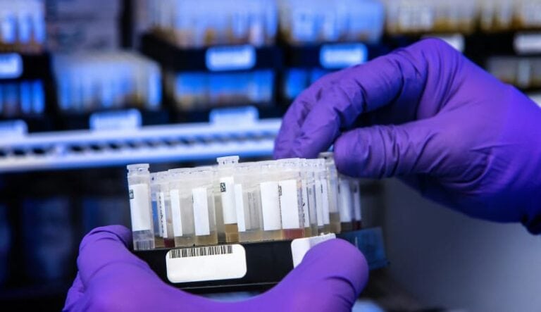 lab