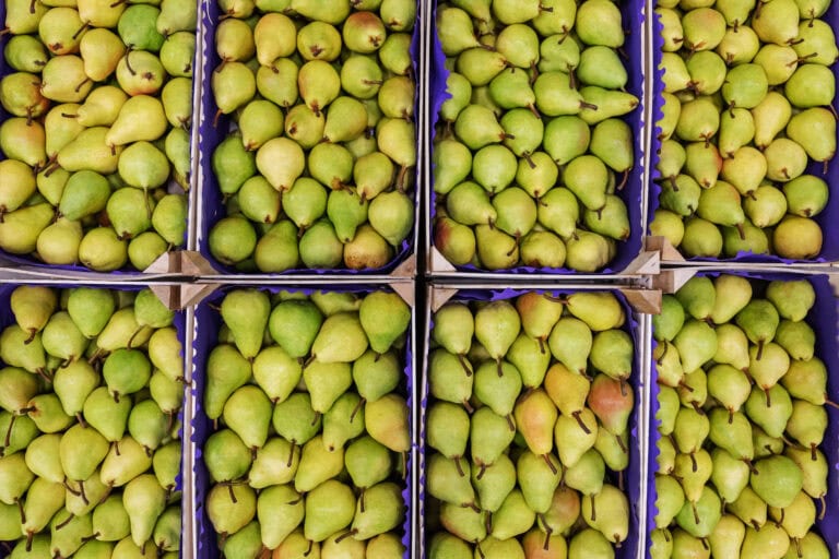 Food Distribution Sector Update - Q4 2025 Earnings Review