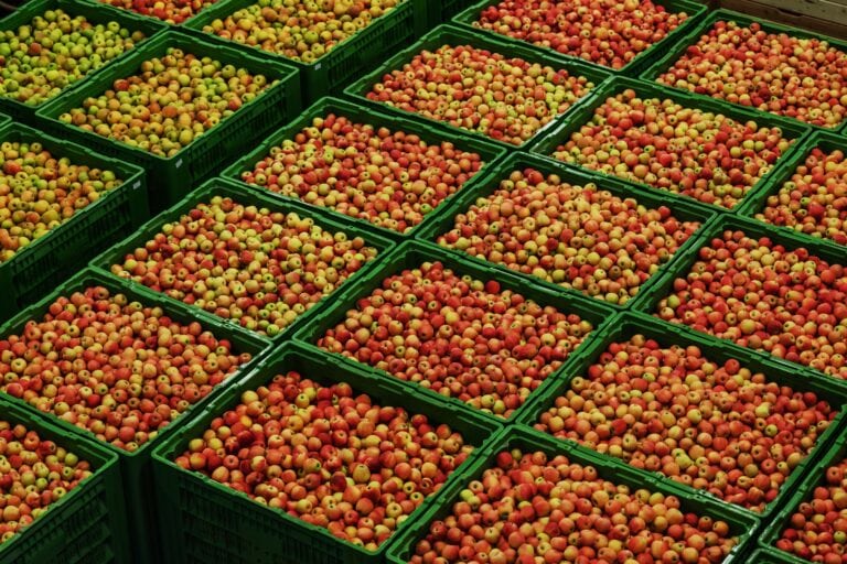 Food Distribution Sector Update - Q3 2025 Earnings Review